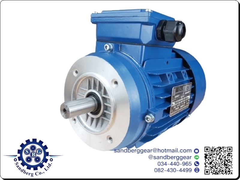 มอเตอร์อินดักชั่น หรือมอเตอร์เหนี่ยวนำ NIESEI Induction motor 