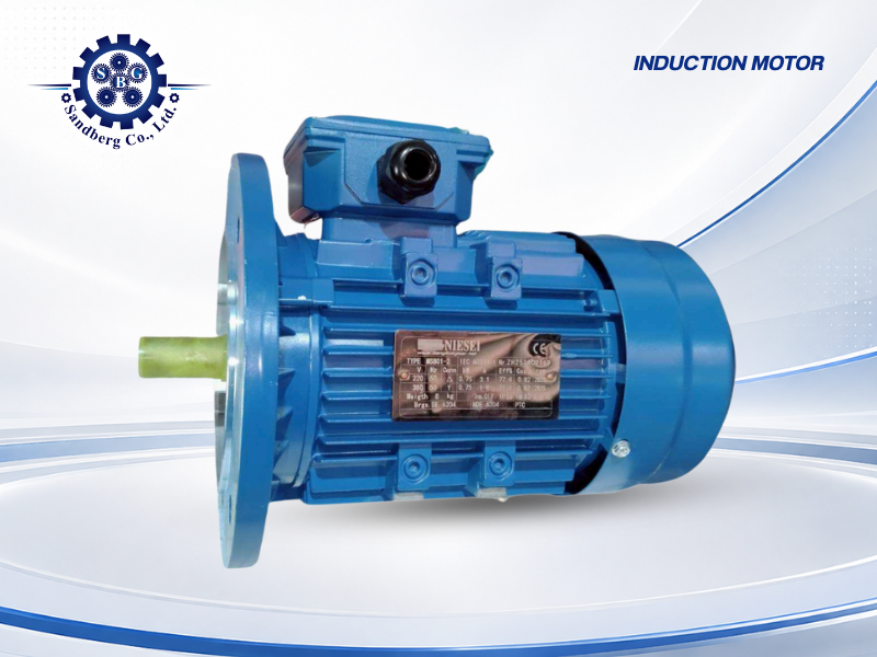 มอเตอร์อินดักชั่น หรือมอเตอร์เหนี่ยวนำ NIESEI Induction motor มอเตอร์อินดักชั่น หรือมอเตอร์เหนี่ยวนำ NIESEI Induction motor